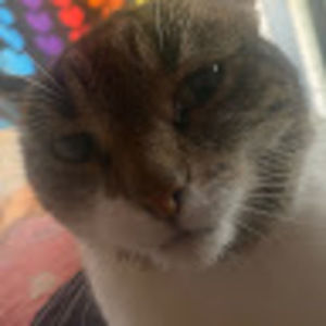 Meet your Posher, Mar